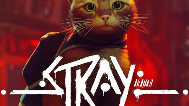 Stray