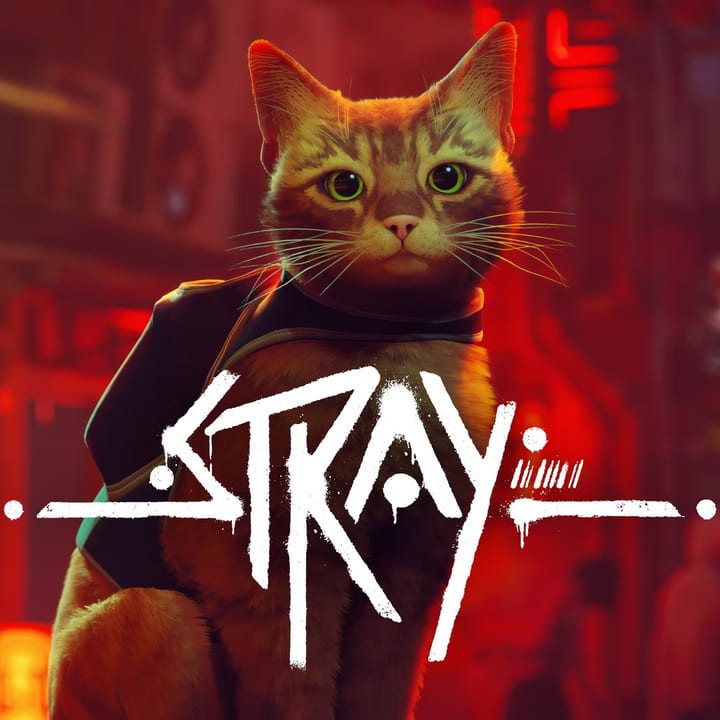 Stray